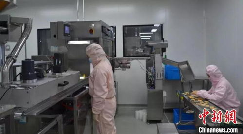 河北省药监局多措并举，全力保障防疫药品供应与生产稳定